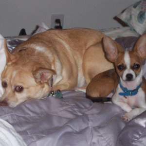 Meet your Posher, Pamela